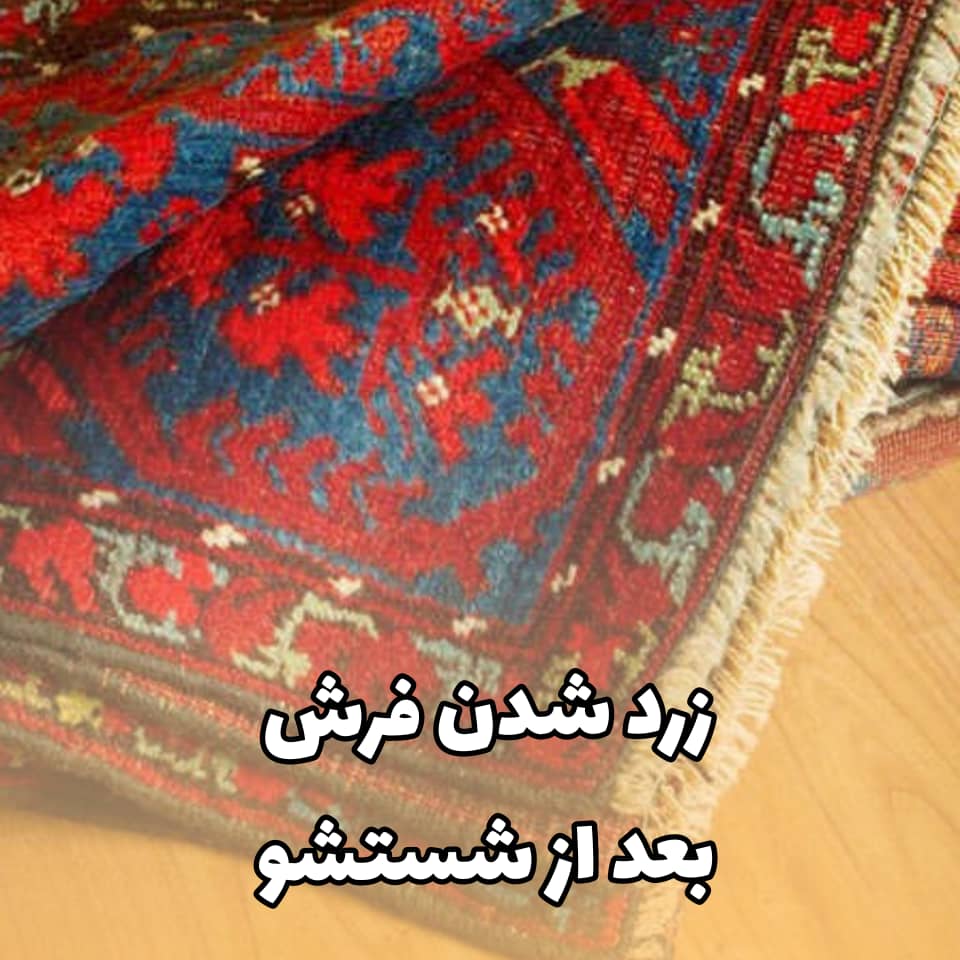 زرد شدن فرش بعد از شستشو 3 زرد شدن فرش بعد از شستشو